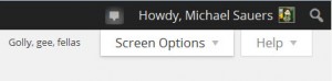 Screen Options tab