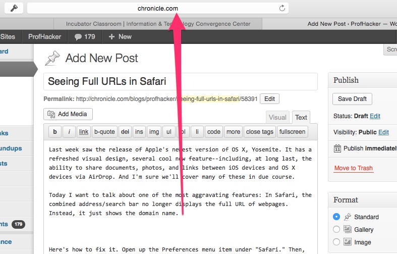 Tuesday Tech Tip: Seeing Full URLs in Safari