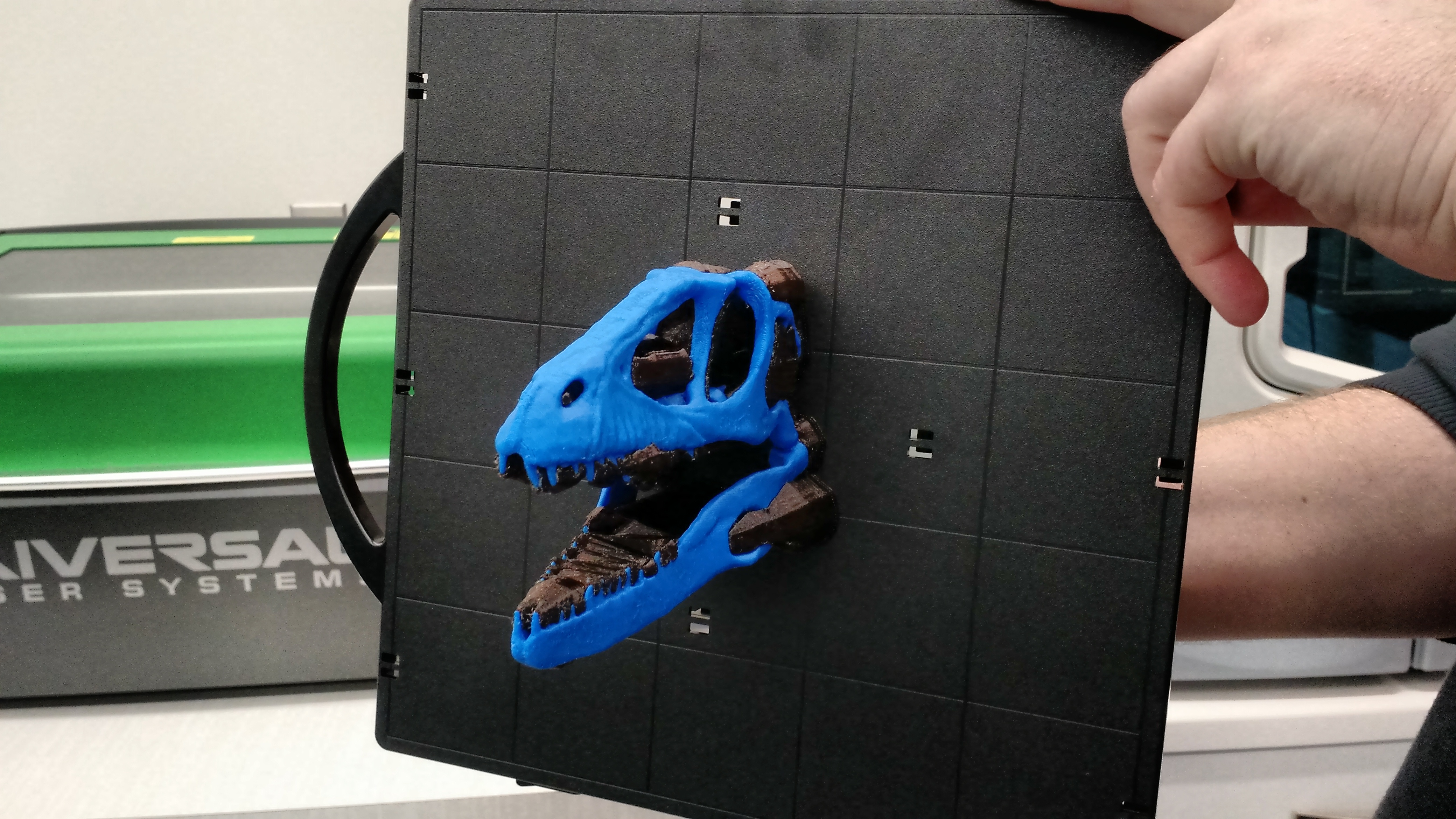 3D Printing, Jurassic Style, @ Do Space