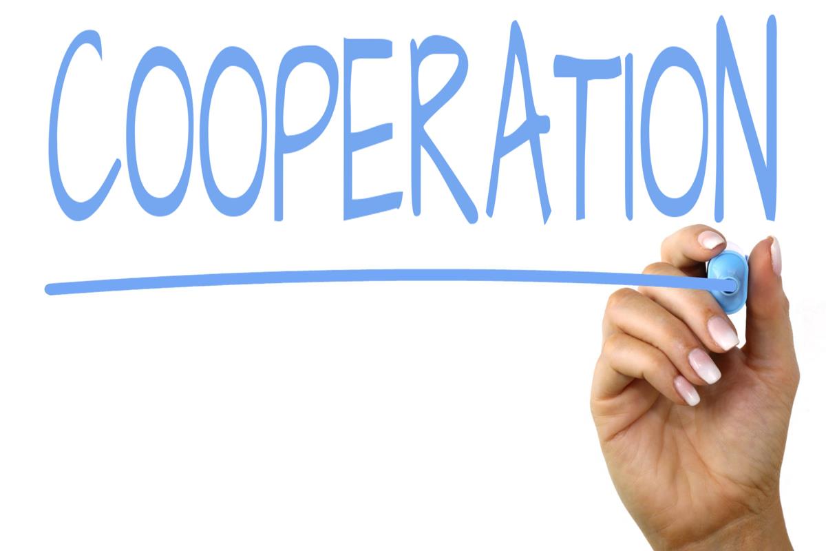 To Advance Diversity & Inclusion, CEOs Must Choose Cooperation Over Competition