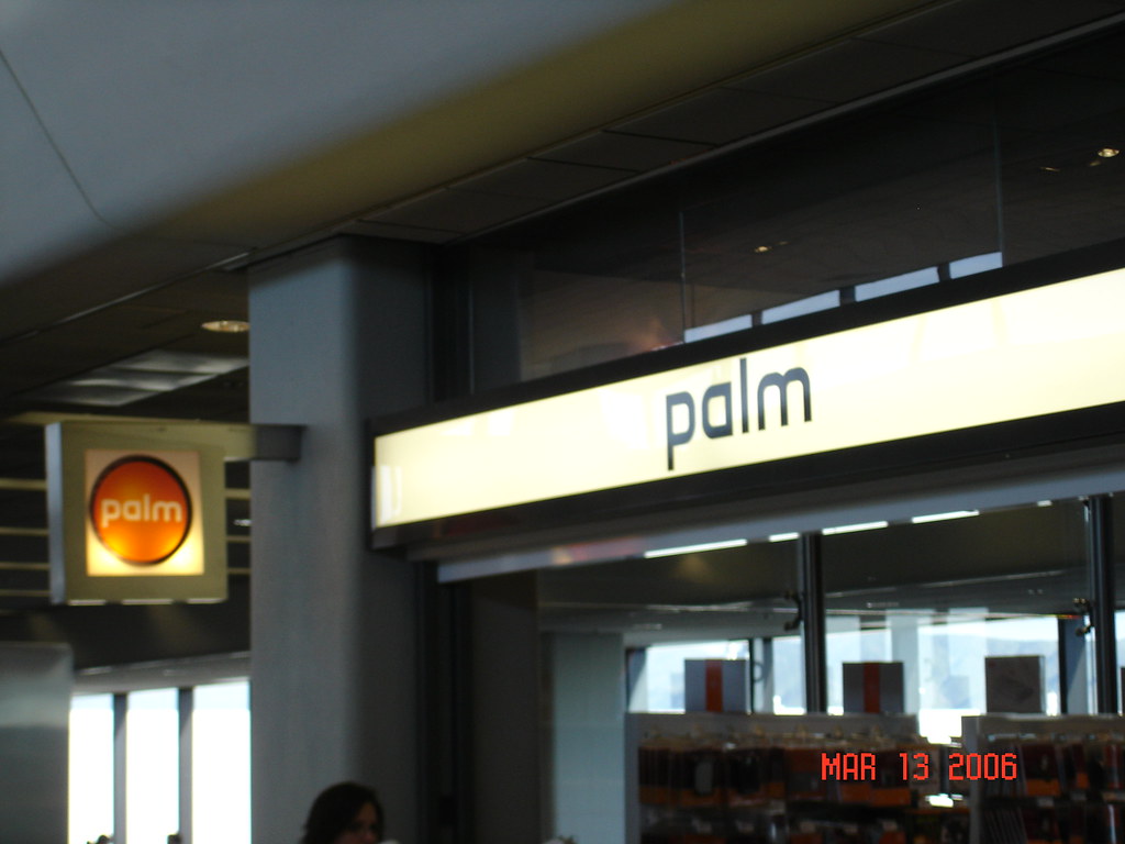 Throwback Thursday: palm store
