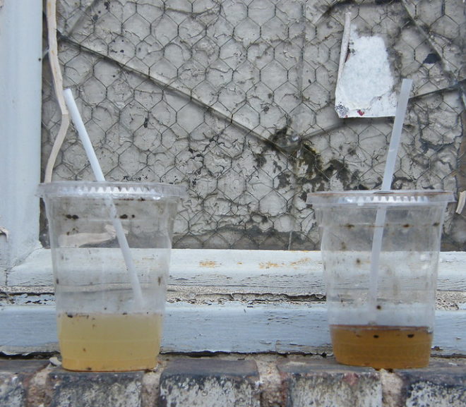 Throwback Thursday: Abandoned Beverages