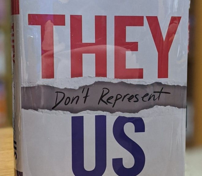 Friday Reads: They Don’t Represent Us by Lawrence Lessig