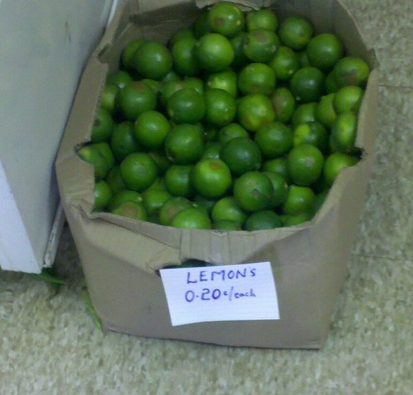 Throwback Thursday: Lemons 0.20¢/each