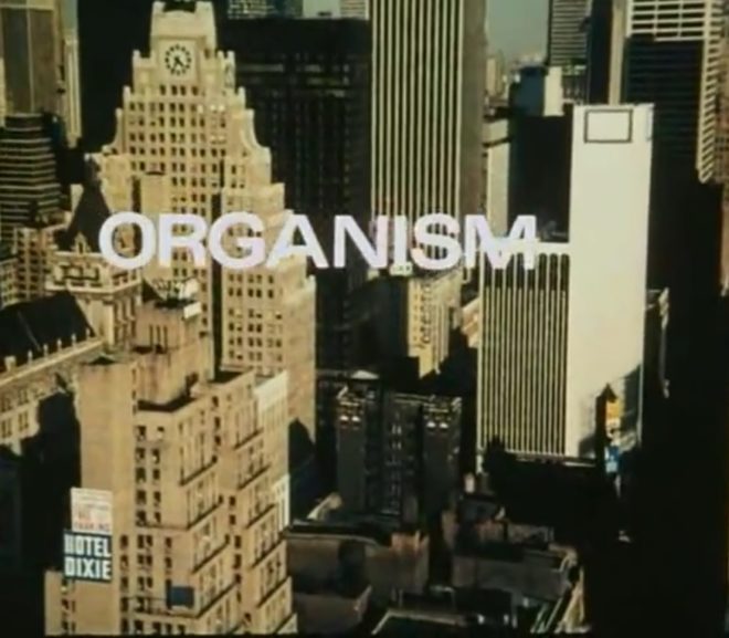 Friday Video: Organism