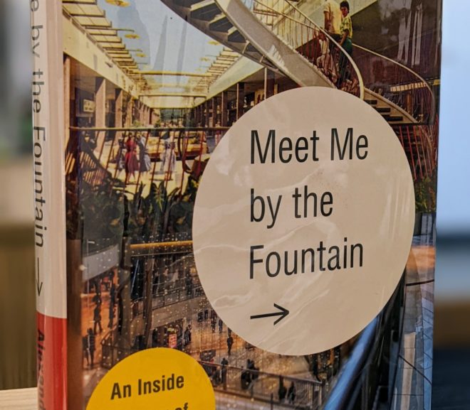 Friday Reads: Meet Me by the Fountain by Alexandra Lange