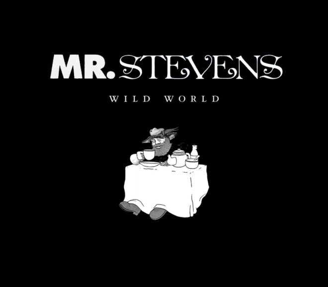 Mashup Monday: Wild World – Mr. Stevens (mashup remix)