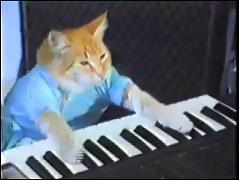 Throwback Thursday: Keyboard Cat!