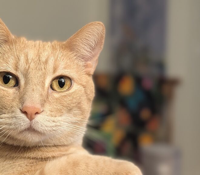 What are you lookin’ at?