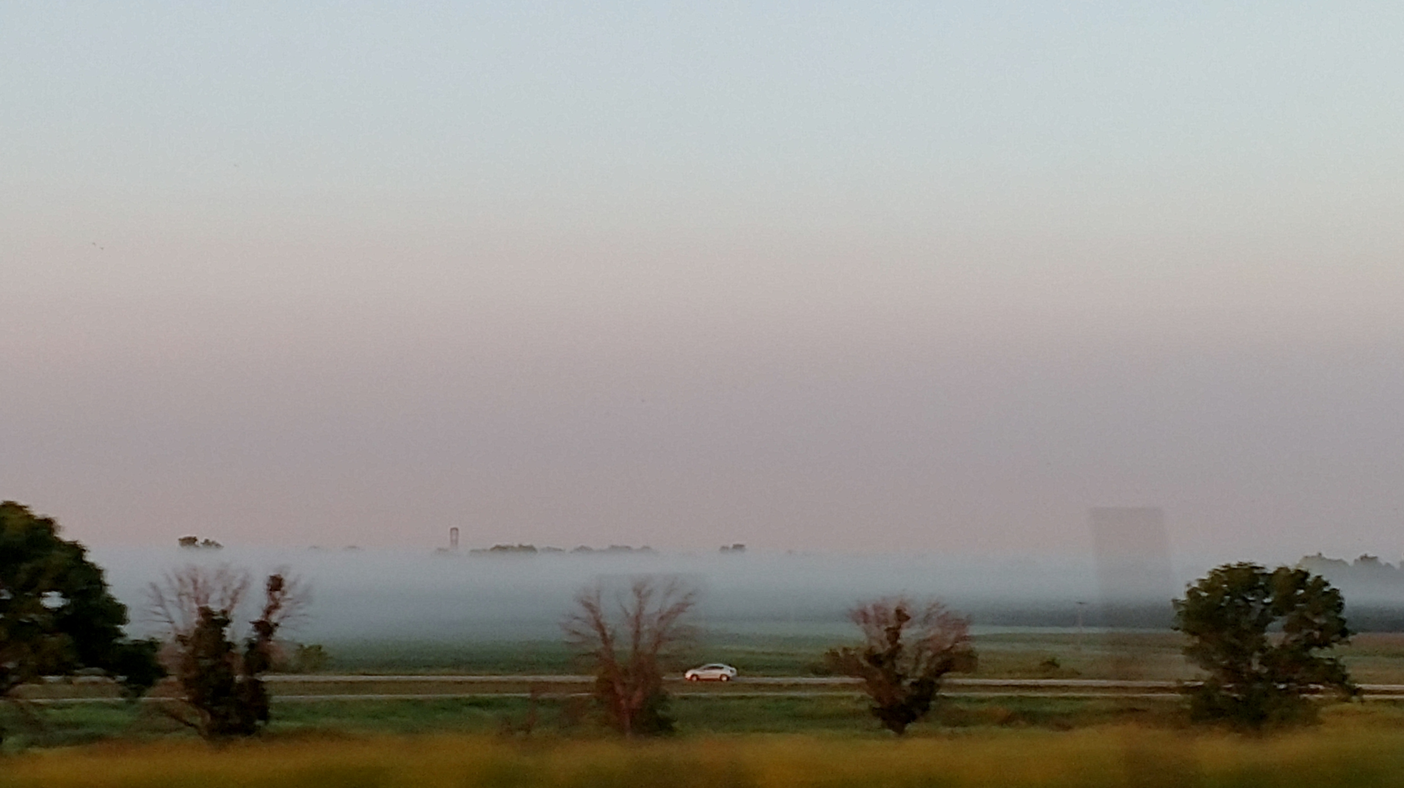 Foggy morning