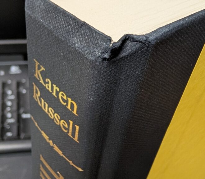 The latest pre-damaged book from Amazon